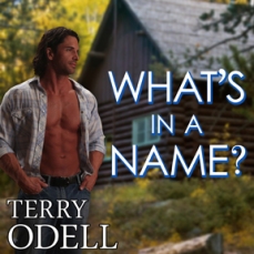What's in a Name by Terry Odell