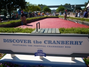cranberry exhibit