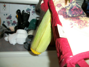 Shake corn cob until it evacuates its husks.